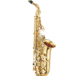 JAS1100 Eb Alto Sax, Gold Lacquer, Sona-Pure Brass Neck, Adjustable Palm Keys, High F#, Adjustable Thumb Rest, Metal Tone Boosters, Backpack Case