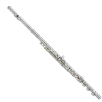 Haynes Flute Q2 Model New