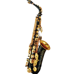 YAS82ZIIB Custom Z Eb Alto Sax, Black Lacquer, Annealed Body, 1-Piece Bell, Adjustable Front F Mechanism, Ribbed & Flanged Posts, V1 Neck, 4CM Mouthpiece, Case