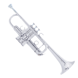 Bach AC190S Pro C Trumpet