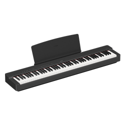 P225B Digtal Piano, 88 Note, Weighted GHC Action, Includes PA150 Power Adapter & Sustain Foot Switch, Black