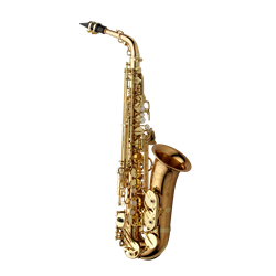 AWO2 Pro Eb Alto Sax, Bronze, High F#, F Auxillary & Low C# Mechanism, Brass Body, Hand Engraved Bell, Case